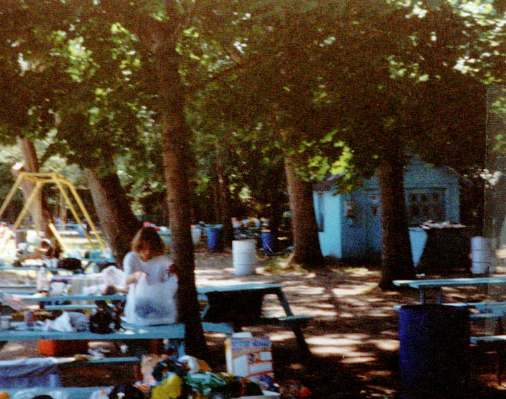 Old Mill Bathing Beach, Paramus NJ in the 1990s